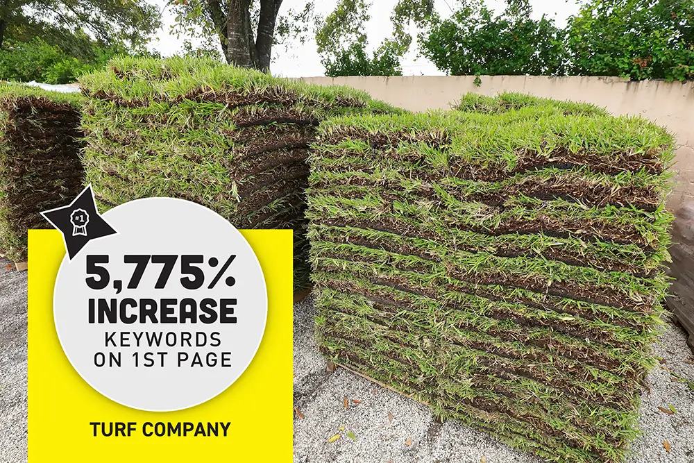 SEO stats turf company