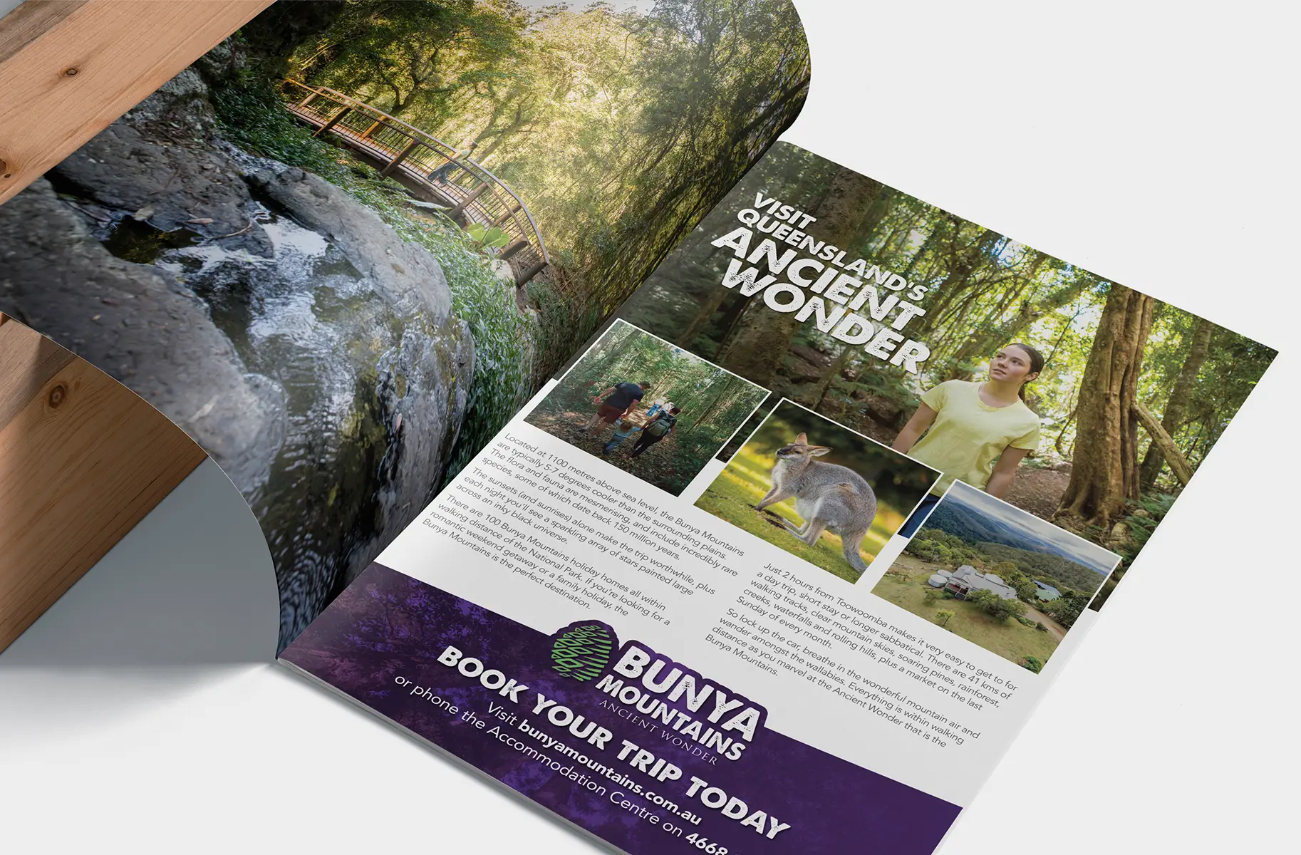 Print & Media Management bunya open magazine mockup 02